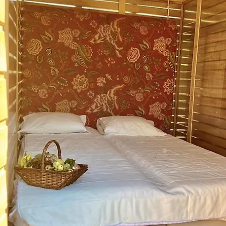 Casa Do Vale Ferienhaus Marco de Canavezes